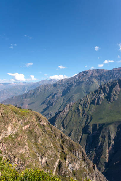 istock Panoramic view of Canyon Colca near to Arequipa (Peru) 1177366553