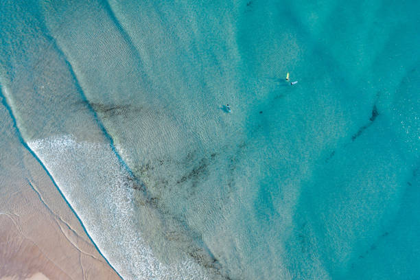 noosa alba scena con bella sabbia e surfisti in acqua - coastline noosa heads australia landscape foto e immagini stock