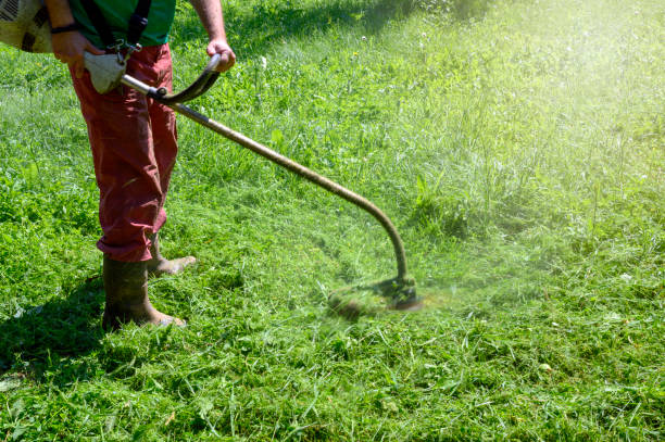 istock Gardening with a brushcutter 1177371595