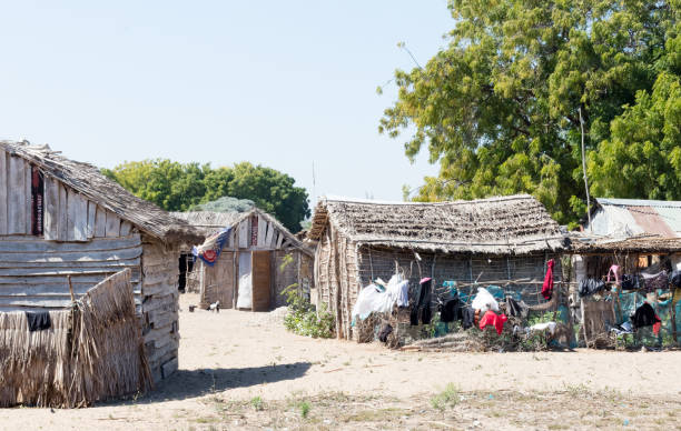 istock Typical malgasy village - African hut 1177374324