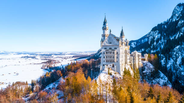 vista bonita do castelo mundialmente famoso de neuschwanstein, bavaria do sudoeste, alemanha - king ludwig - fotografias e filmes do acervo