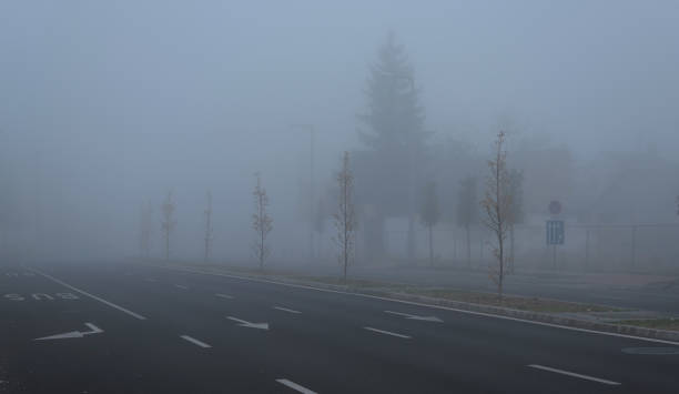 istock Fog in the city 1177378065