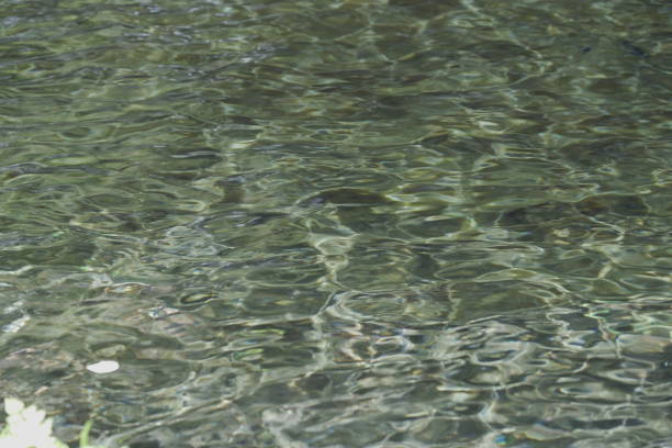 istock Clear water from the moutain 1177379444