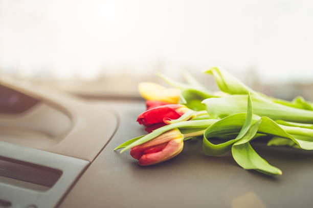 Flowers on the dashboard in the car