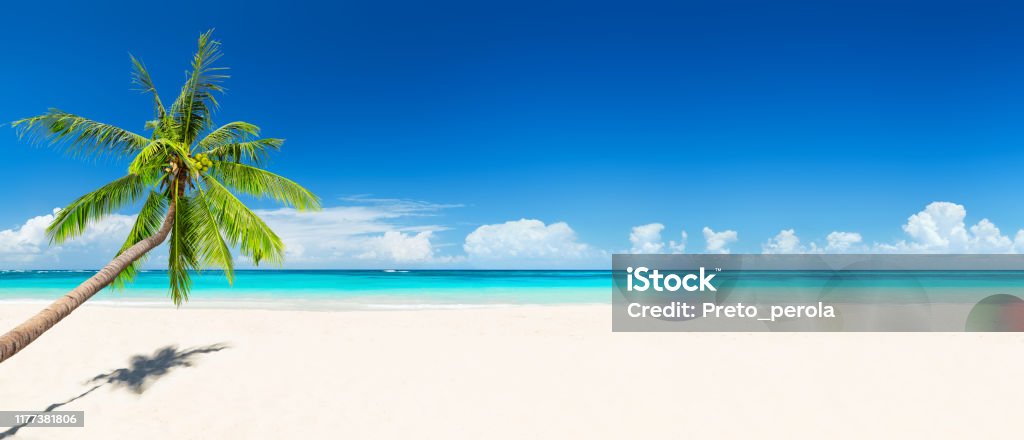 Travel Summer Holiday Background Concept Stock Photo - Download Image Now -  Beach, Tropical Climate, Sand - iStock