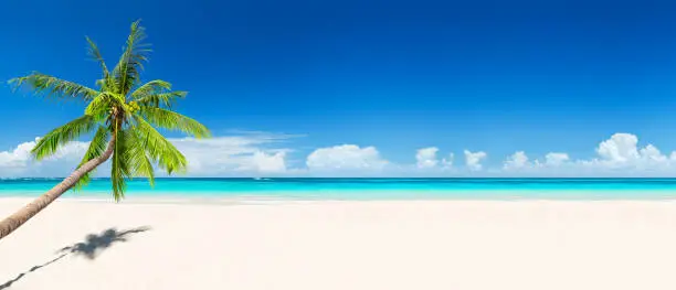 Photo of Travel summer holiday background concept.