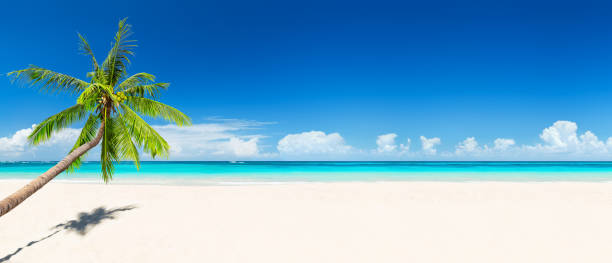 travel summer holiday background concept. - panoramic scenics sunlight day imagens e fotografias de stock