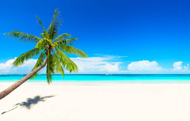 istock Travel summer holiday background concept. 1177381820