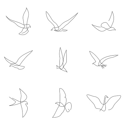 One line bird set. Birds collection. Hand drawn. Vector illustration