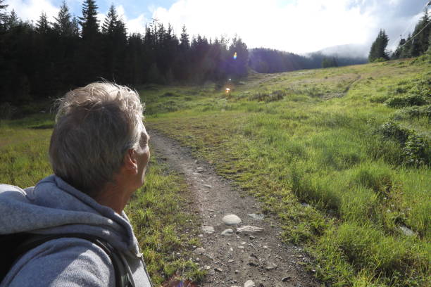 istock Man hikes along meadow footpath at sunrise 1177383445