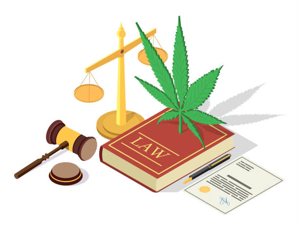 Medical marijuana legalization vector concept isometric illustration Marijuana legalization vector illustration. Isometric legal symbols Law book with hemp plant leaf, scales of justice, judge gavel. Legal medical cannabis concept for web banner, website page etc. legalization stock illustrations