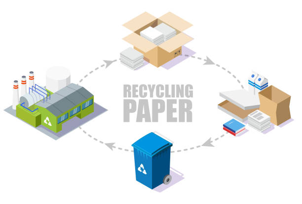 Paper recycling process scheme, vector isometric illustration Paper recycling process scheme, vector isometric illustration. Reducing pollution and waste, saving the Earth and environment with recycling technologies. paper recycle stock illustrations