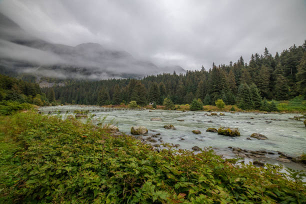 istock Alaska river, glacier, lake and mountains 1177391765