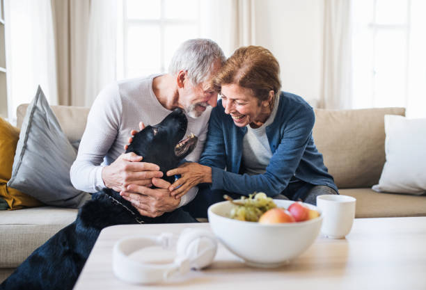 una feliz pareja de la tercera edad sentada en un sofá interior con un perro mascota en casa. - senior couple audio fotografías e imágenes de stock