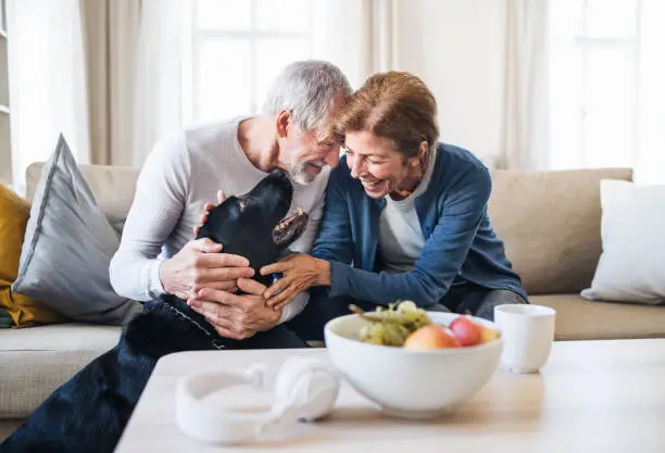 Photo of A happy senior couple sitting on a sofa indoors with a pet dog at home.