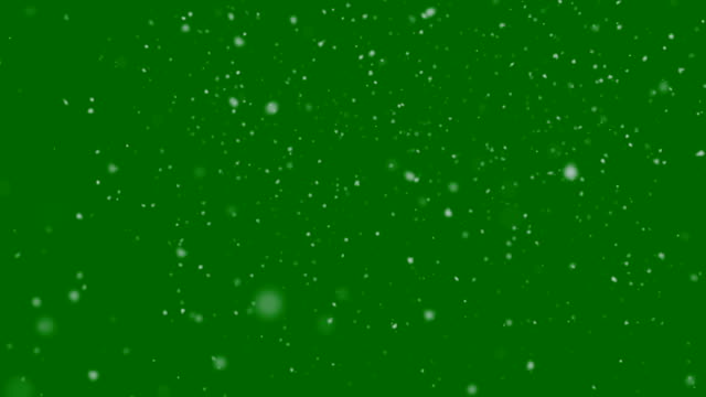Winter Snow Background. Large and Small Snowflakes Falling Down. Loop