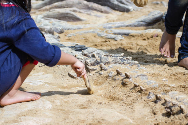 istock Children learning about, Excavating dinosaur fossils simulation in the park. 1177403405