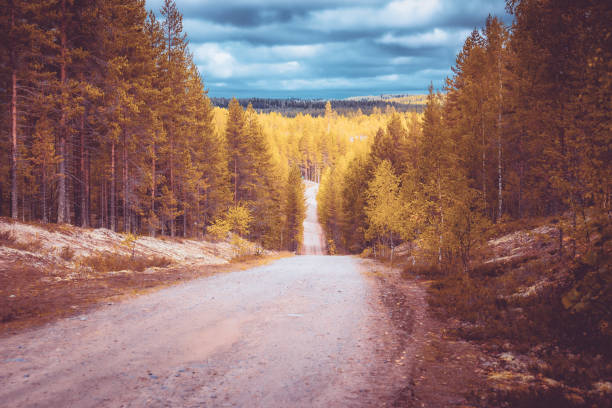 Autumn gravel road view from Sotkamo, Finland. Autumn gravel road view from Sotkamo, Finland. finnish lapland autumn stock pictures, royalty-free photos & images