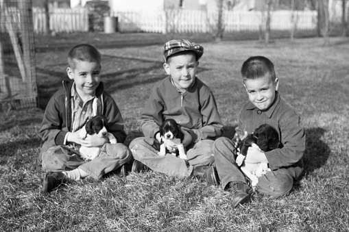 Three brothers with puppies. Waterloo, Iowa, USA. Spring 1959. Scanned film with grain.