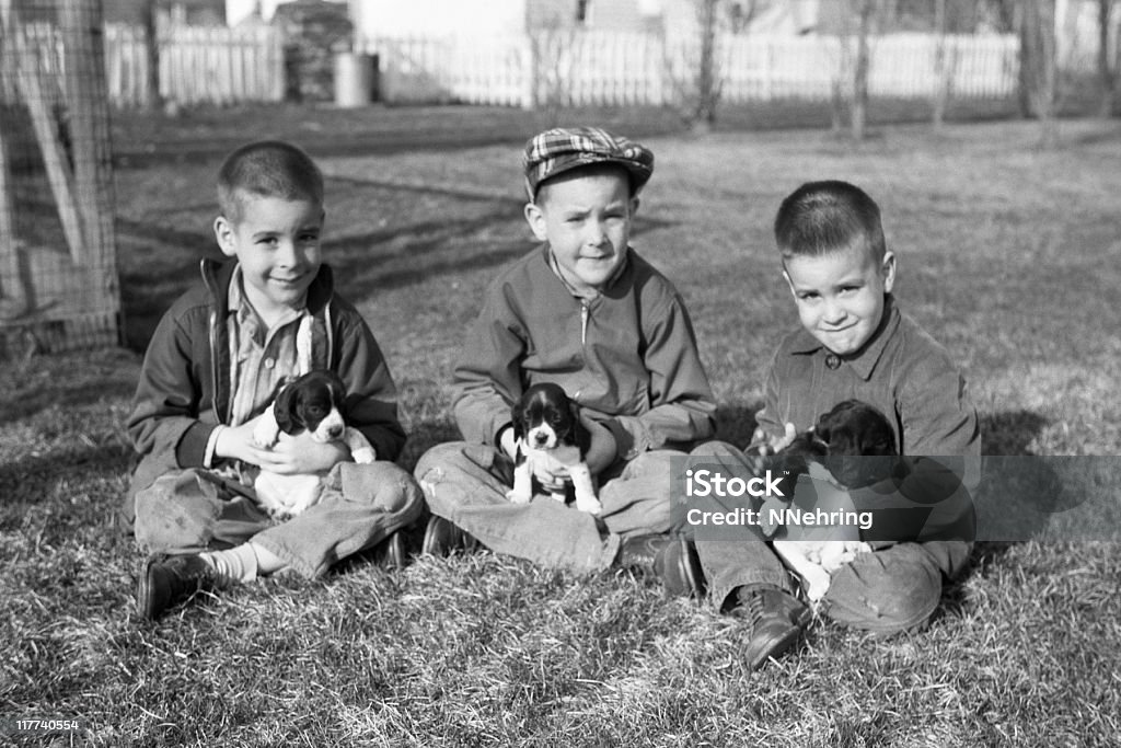 boys with puppies 1959, retro Three brothers with puppies. Waterloo, Iowa, USA. Spring 1959. Scanned film with grain. Photograph Stock Photo