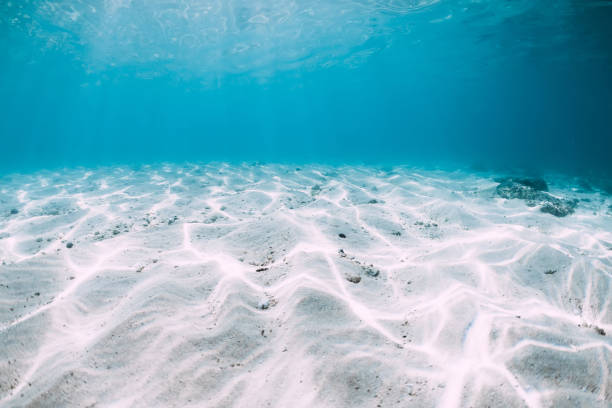 istock Blue ocean with white sand bottom underwater in Hawaii 1177409468