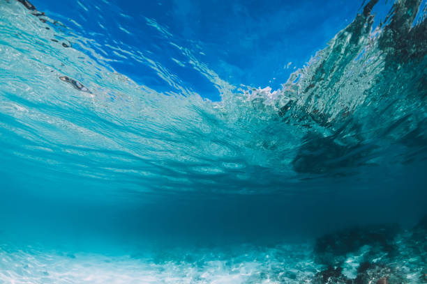 istock Blue ocean with white sand bottom underwater in Hawaii 1177409480