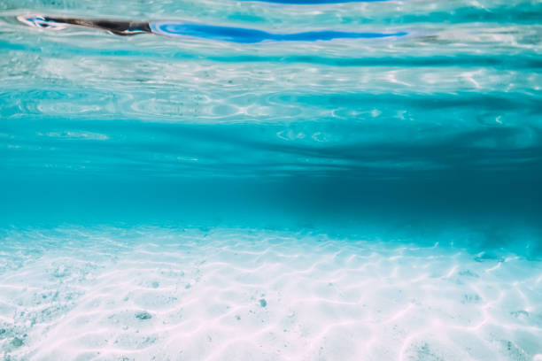 istock Blue ocean with white sand bottom underwater in Hawaii 1177409495