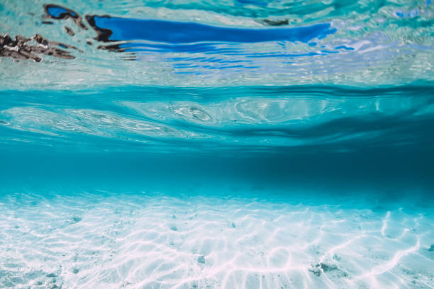 istock Blue ocean with white sand bottom underwater in Hawaii 1177409588