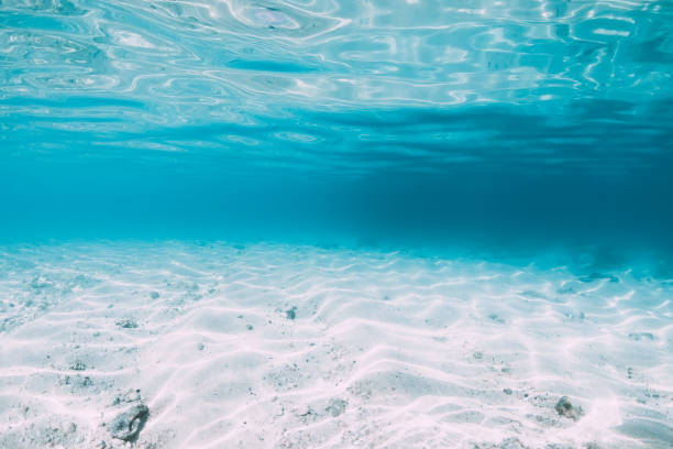 istock Blue ocean with white sand bottom underwater in Hawaii 1177409631