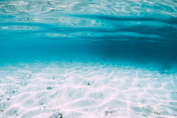 istock Blue ocean with white sand bottom underwater in Hawaii 1177409640