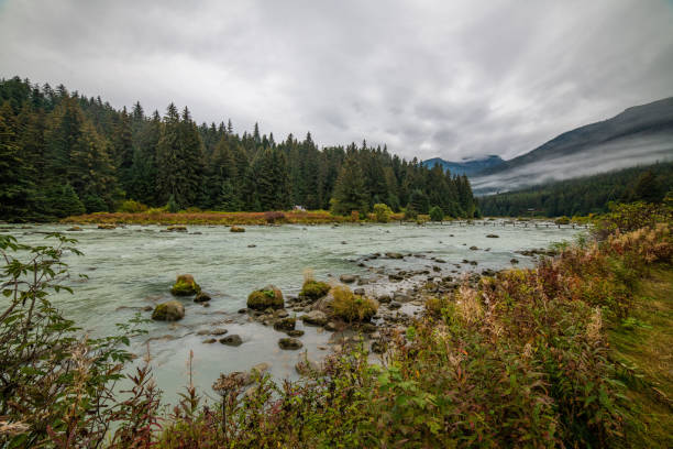 istock Alaska river, glacier, lake and mountains 1177411622