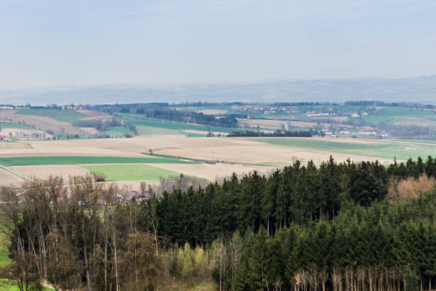 istock Meadow landscape in Europe 1177415139