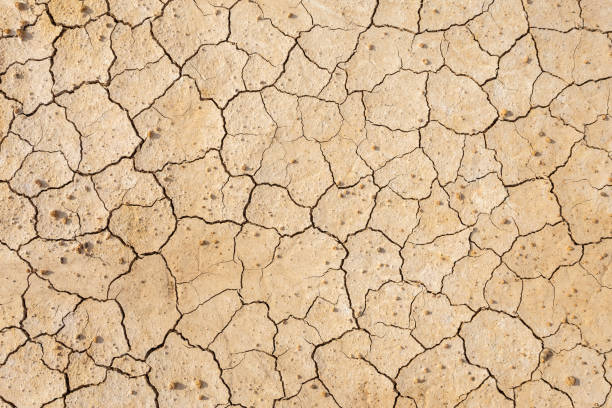 istock Brown dry soil or cracked ground texture background. 1177415843