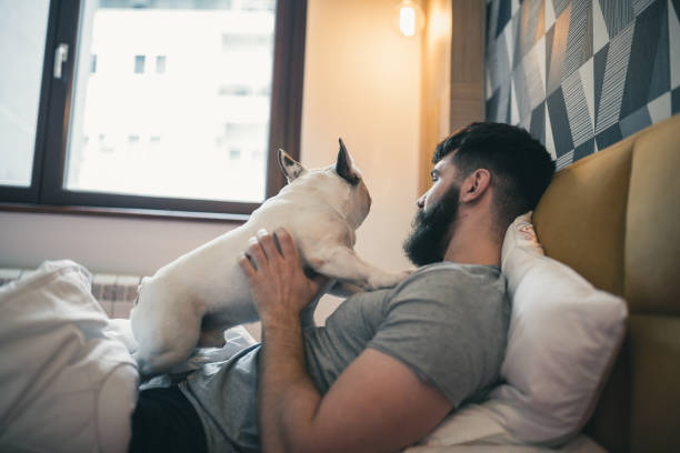 istock Morning cuddling, waking up with his dog 1177416556