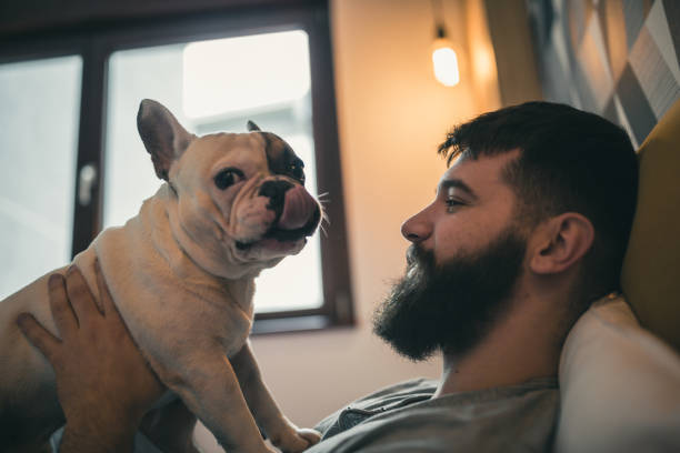 istock Morning cuddling, waking up with his dog 1177416656