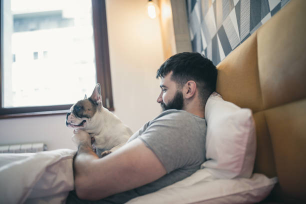 istock Morning cuddling, waking up with his dog 1177416666