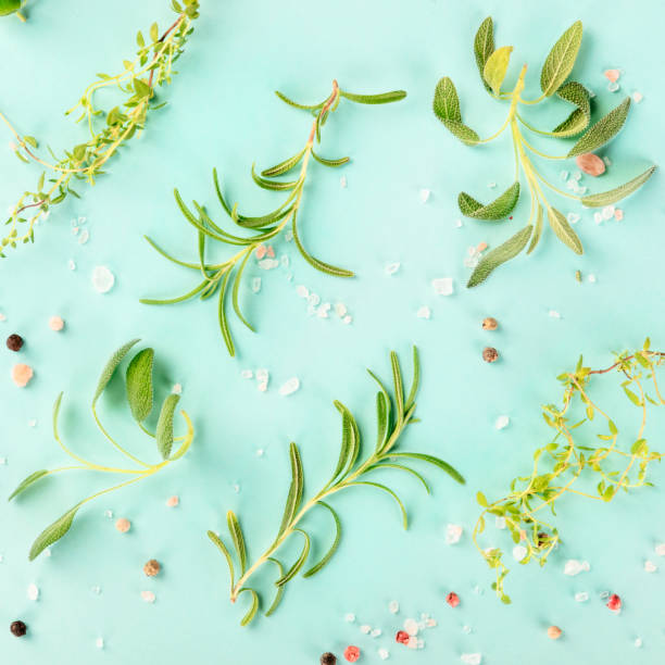 istock Culinary herbs and spices, square overhead shot on a teal blue background 1177417420