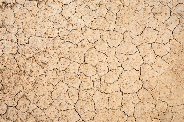 istock Brown dry soil or cracked ground texture background. 1177417605