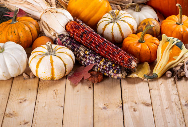 Assortment of fall mini pumpkins and indian corn on a wooden surface with copy space