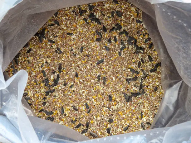 Wild bird food mix in an open plastic bag. Overhead close up view of seeds, grain and corn.
