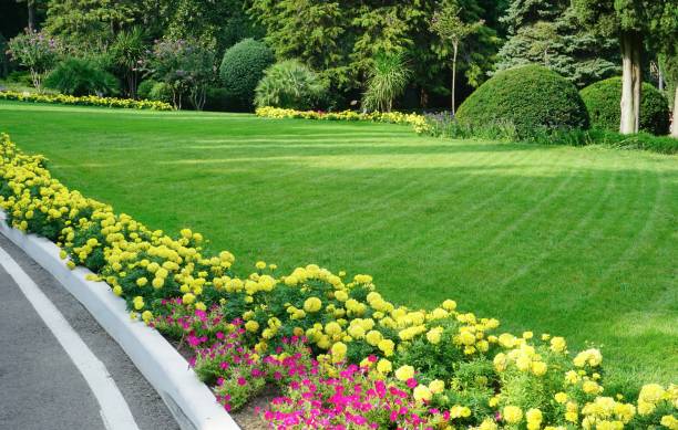 istock Park lawn with flower border 1177422893