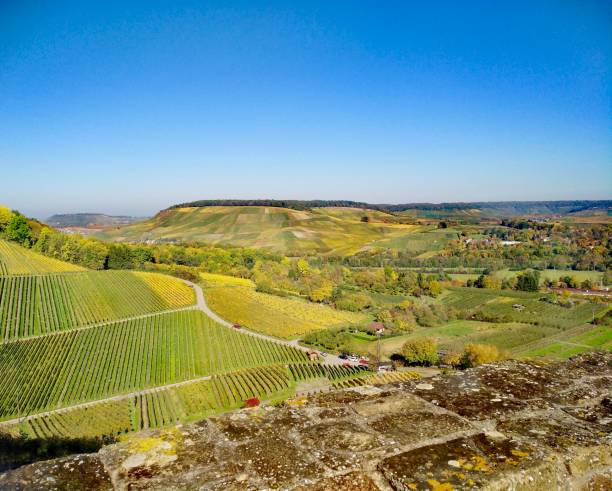 Vineyards in Southern Germany Vineyards in Southern Germany heilbronn stock pictures, royalty-free photos & images