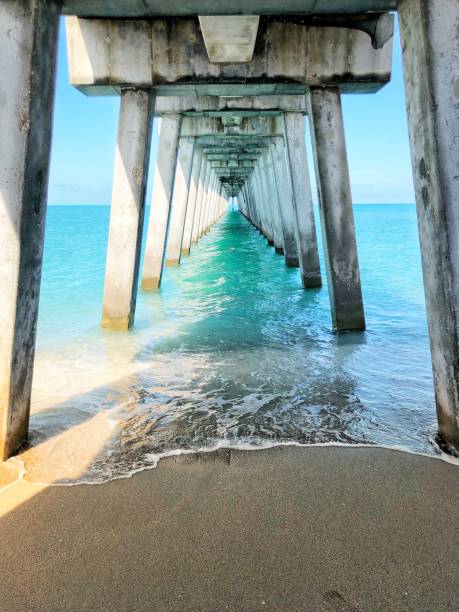 istock Venice fishing pier 1177428714
