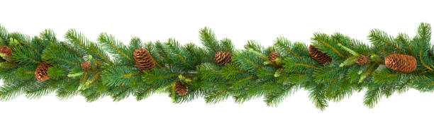 istock Garland with green fir branches and cones isolated on white 1177431064