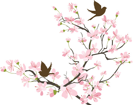 Sparrows & Sakura  Two Brown flying Sparrow Silhouettes and Cherry Blossoms Branch.  Cherry blossom branch has lots of pink flowers in bloom. The cherry blossom flowers and branches are various sizes.