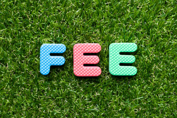 istock Toy foam letter in word fee on green grass background 1177436897