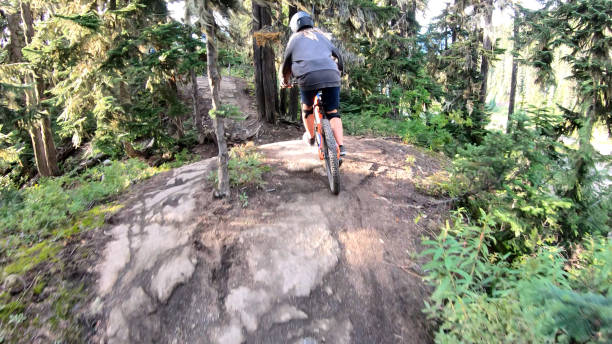 istock Female mountain biker rides on path through forest 1177439815