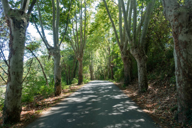 istock The ter route through the interior of Girona 1177440306