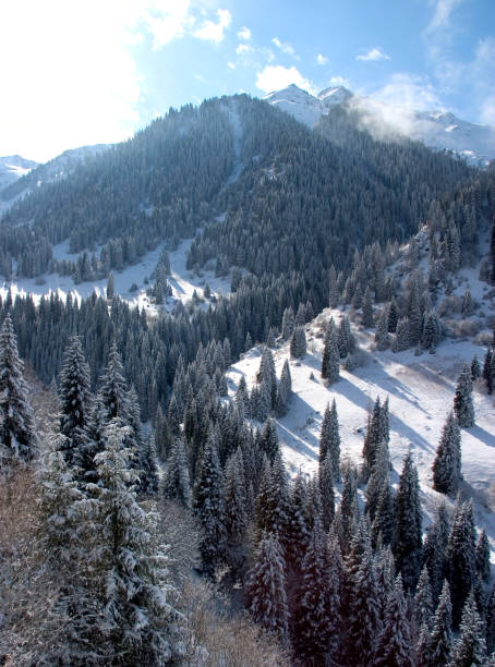 istock Snow covered mountain on solar day 1177440458