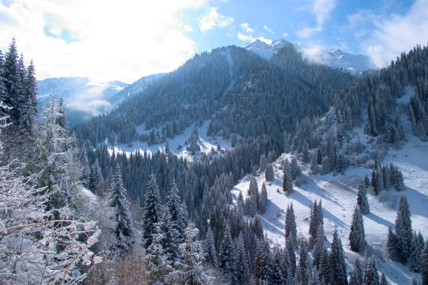 istock Snow covered mountain on solar day 1177440492